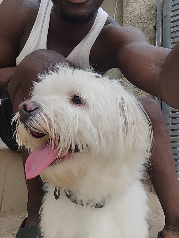 Man and white dog captured in casual moments, Abuja