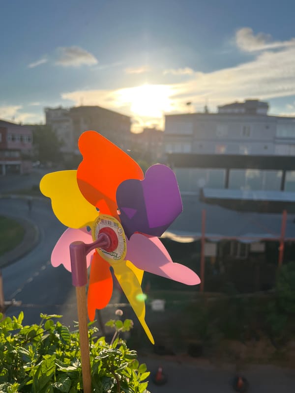 Lazy evening in Ümraniye: cats, pinwheels, flowers, and city lights