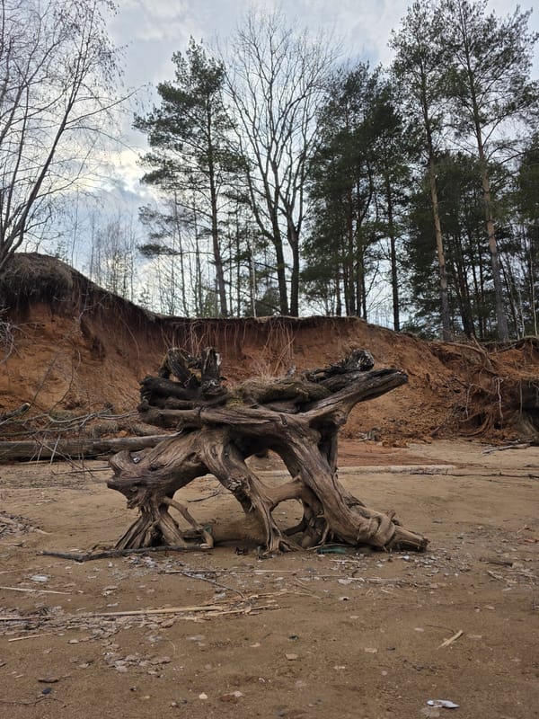 Spring thaw scenes documented along Kama River in Chaikovsky
