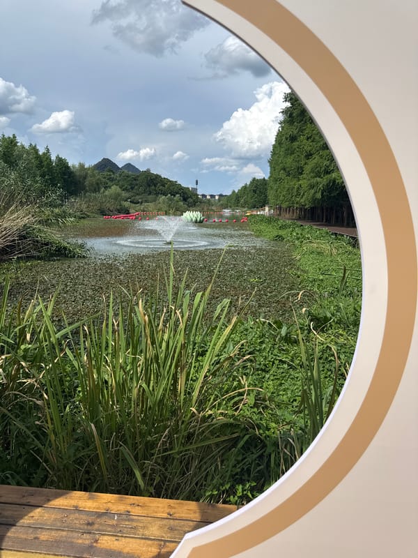 Bald cypress swamp boardwalk in Lin'an, bright green duckweed