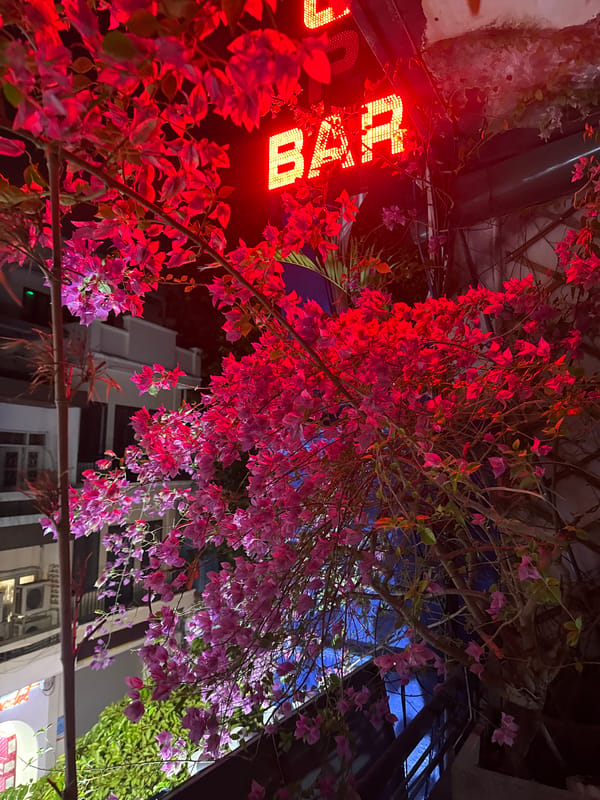 Hanoi nightlife: craft beer, tattoo shops, and Old Quarter streets