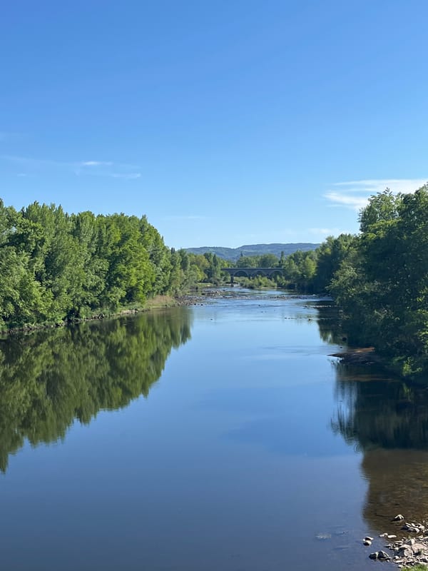 Peaceful river reflection scene documented in Andrézieux-Bouthéon, France