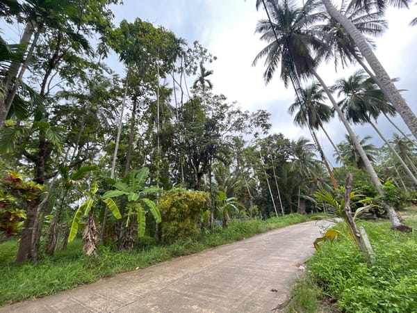 Morning drive through tropical Koh Phangan under cloudy skies