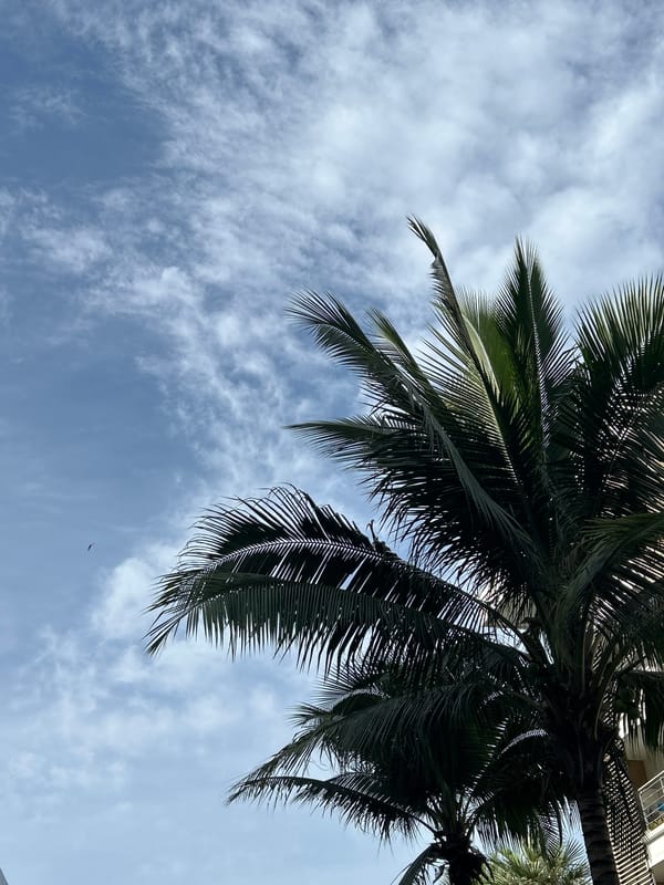 Morning yoga and tropical scenes documented in Phuket, Thailand