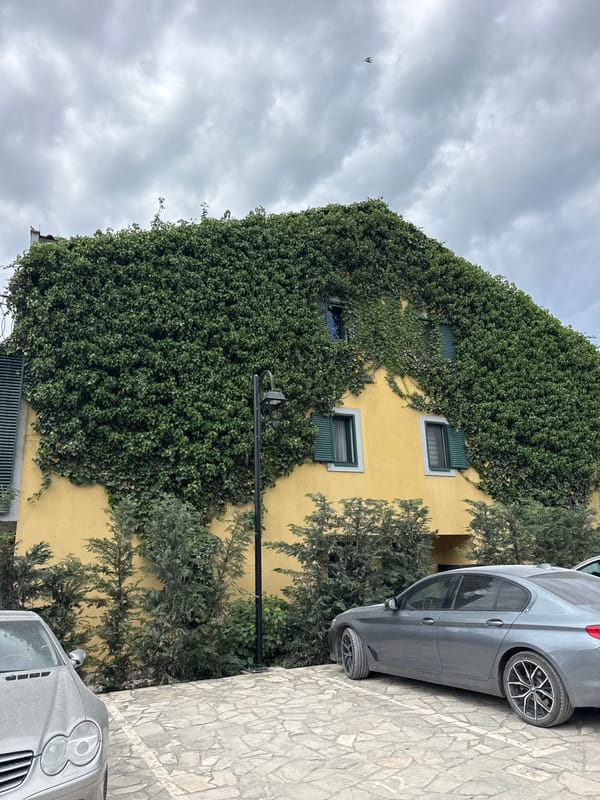 Morning walk through residential Lastva Grbaljska captures buildings, garden, dog