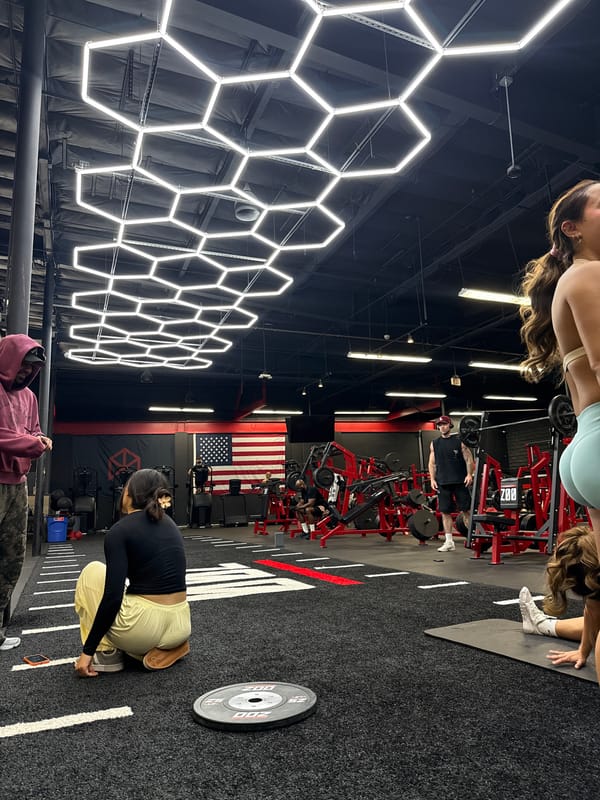 Evening workout session documented at Zoo Culture gym, Los Angeles