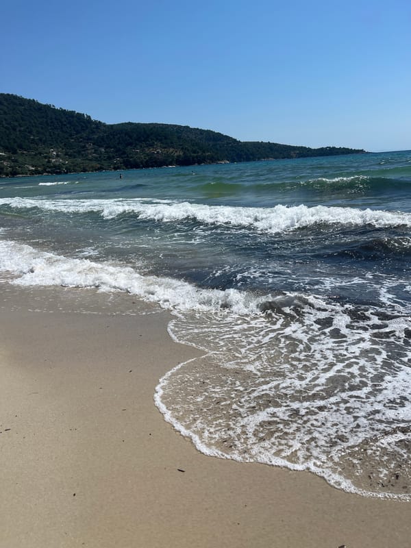 Mediterranean coastal life captured in 30 summer morning memories