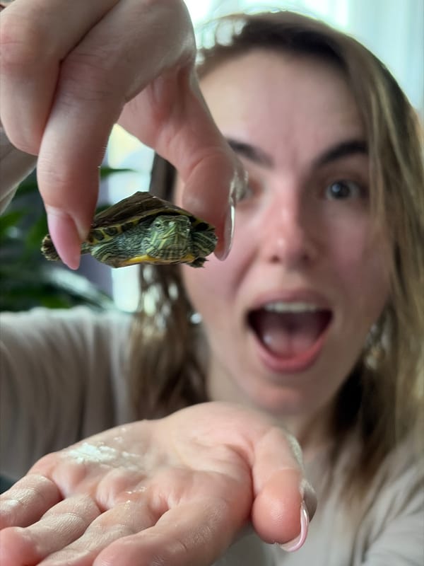Woman plays with pet turtle in Russian village