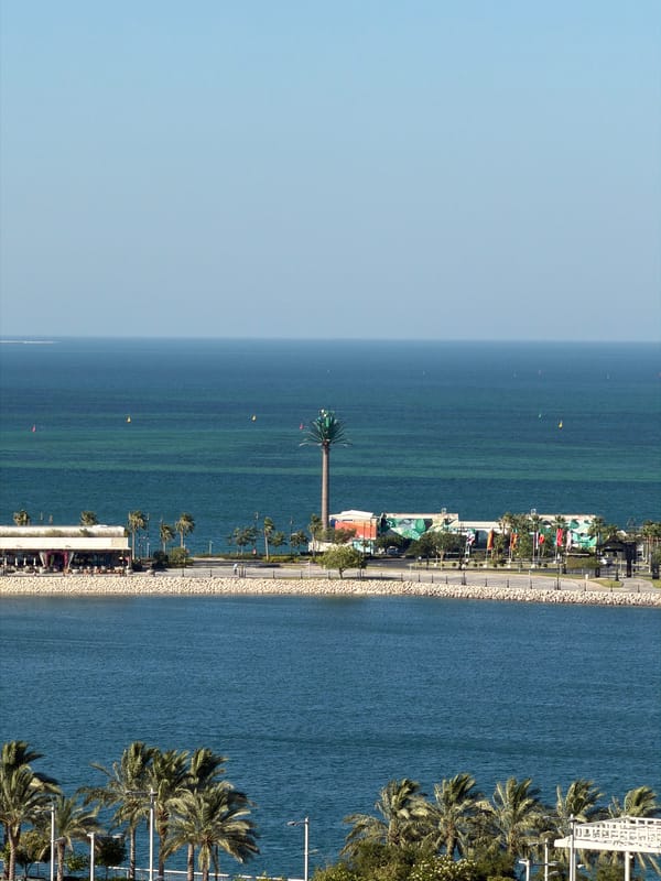 Rooftop views and casual moments at a sunny urban waterfront