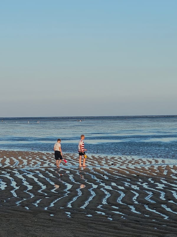 Kites, dogs, and jukung boats on a Bali beach morning