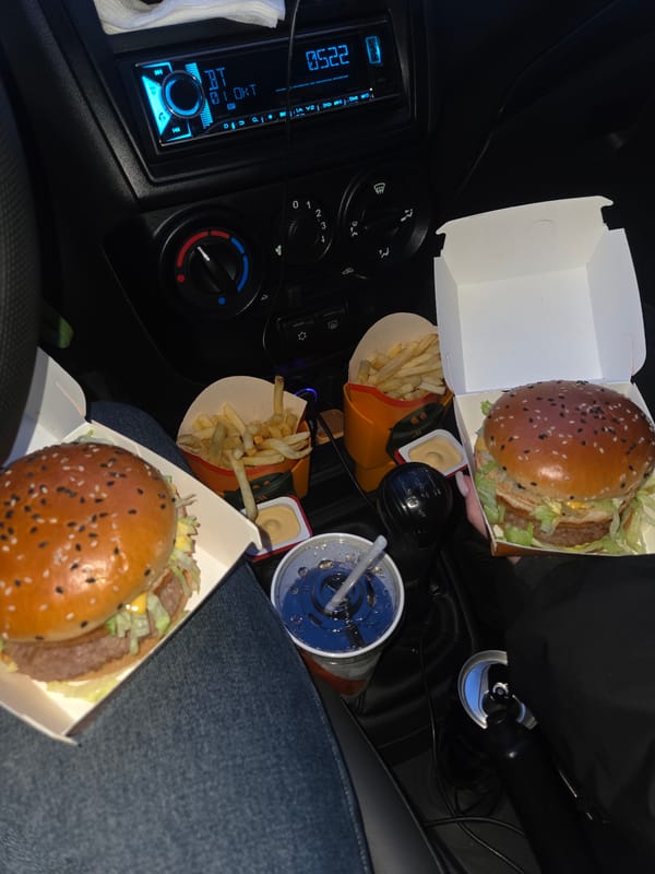 McDonald's meal documented in car interior, Perm Russia