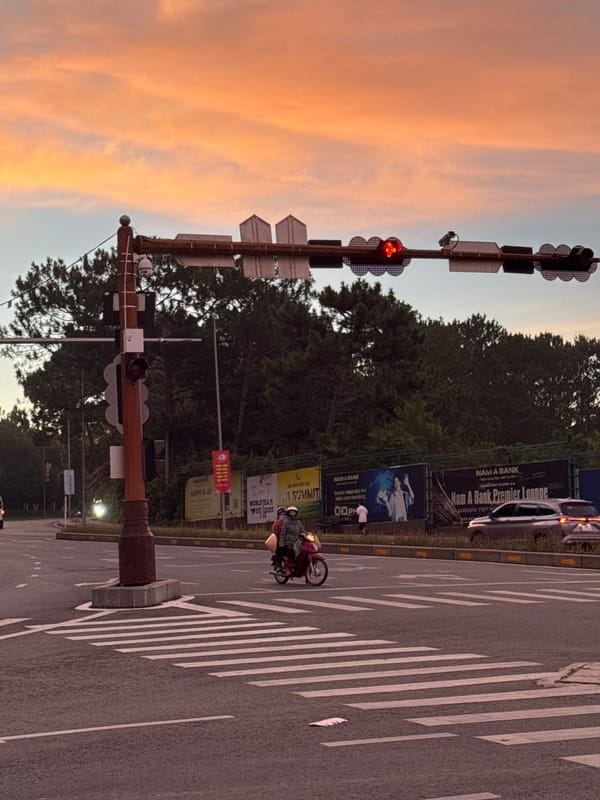 Flower stalls and sunset scenes across Đà Lạt