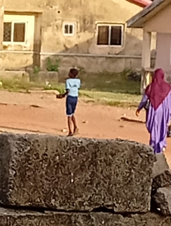 Morning street life observed near pink-roofed building