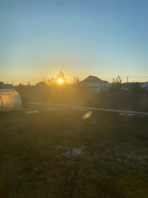 Sunset observed through trees in Chaikovsky, Russia