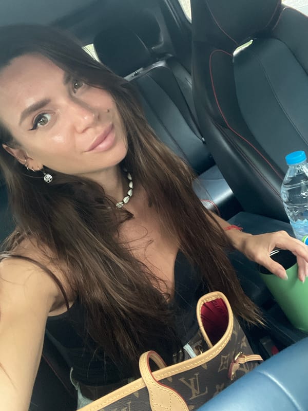 Candid car interior shots with a Louis Vuitton bag