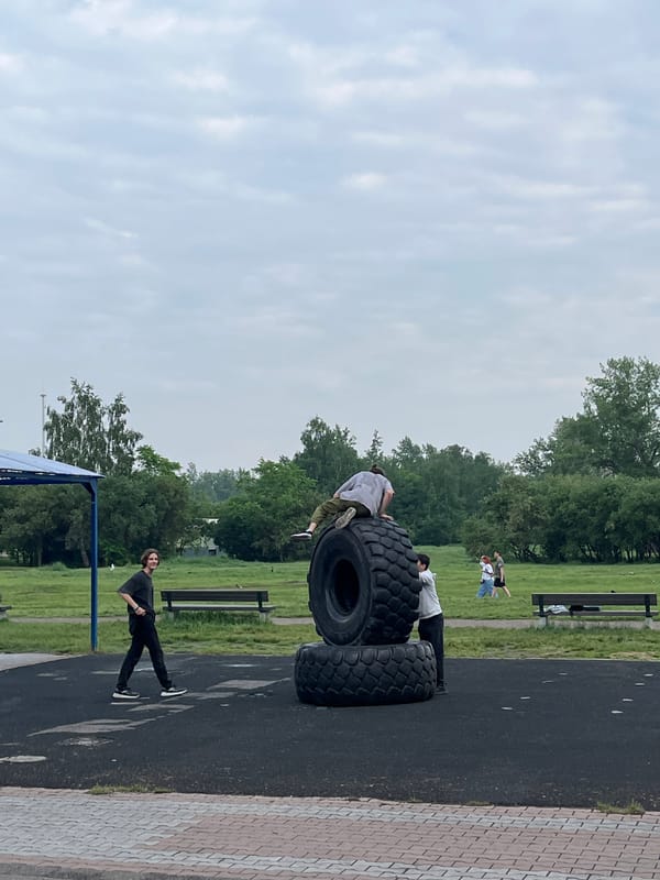 Park fitness activities observed in Krasnoyarsk amid spring blooms