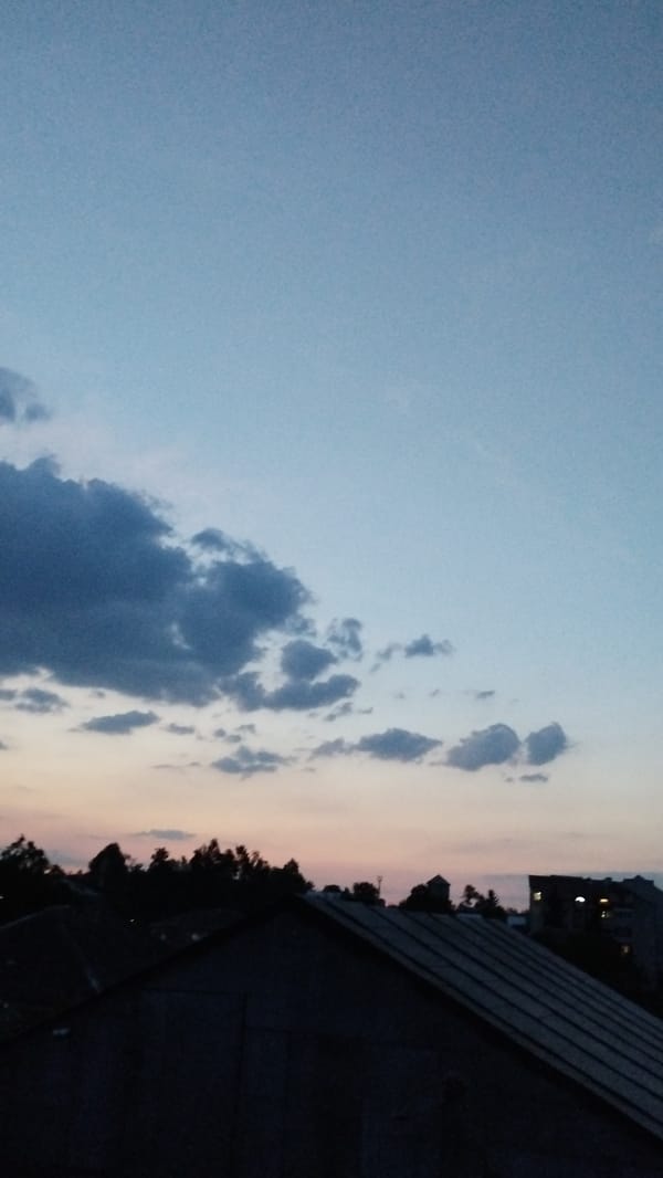 Backyard foraging and dusk skies on a June evening