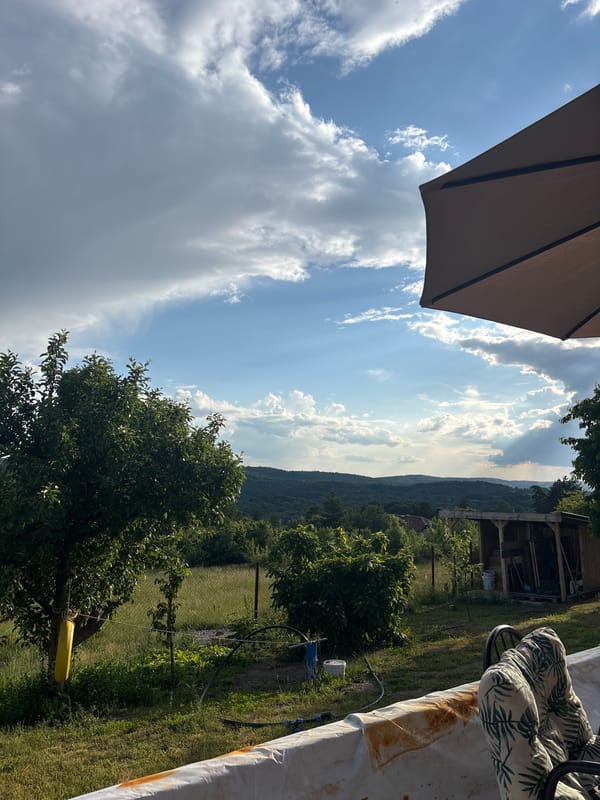 Pastoral scenes documented across Bulgarian countryside near Dramsha