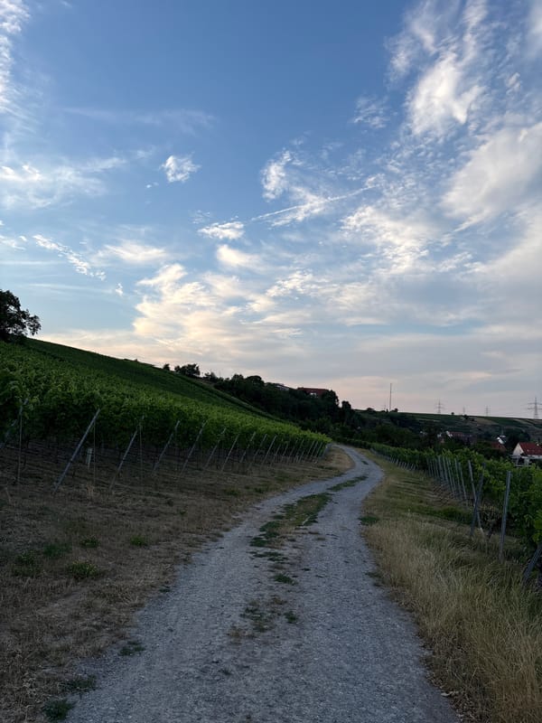 Bönnigheim's vineyards and half-timbered old town, early summer evening