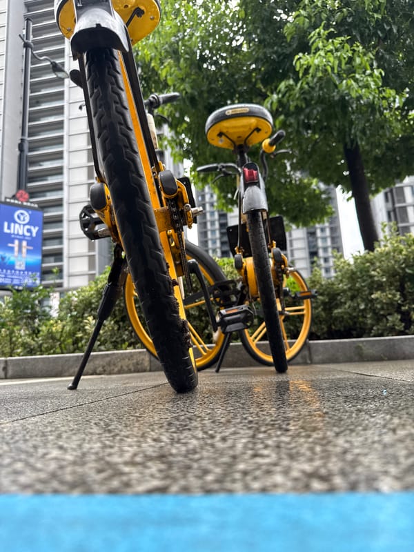 Rainy morning street details in Yiwu — bikes, scooters, and wet plants