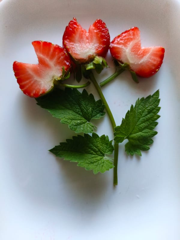 Strawberries and a corgi figurine at a Belarus windowsill