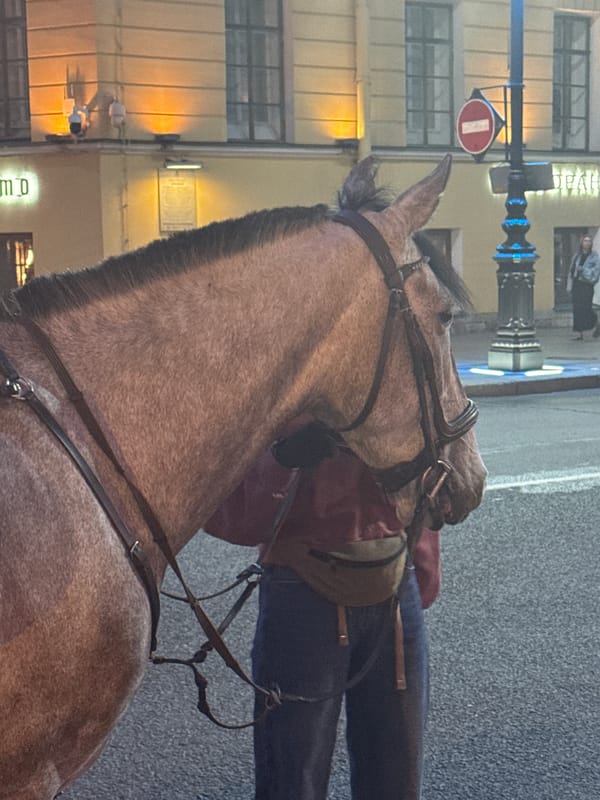 Evening scenes captured near Saint Isaac's Cathedral in Saint Petersburg