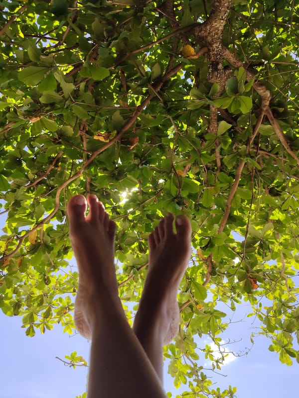 Morning tranquility captured in Kuta Selatan: tropical canopy, beach dove