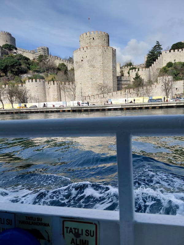 Morning boat journey captures Sarıyer fortress and cityscape views