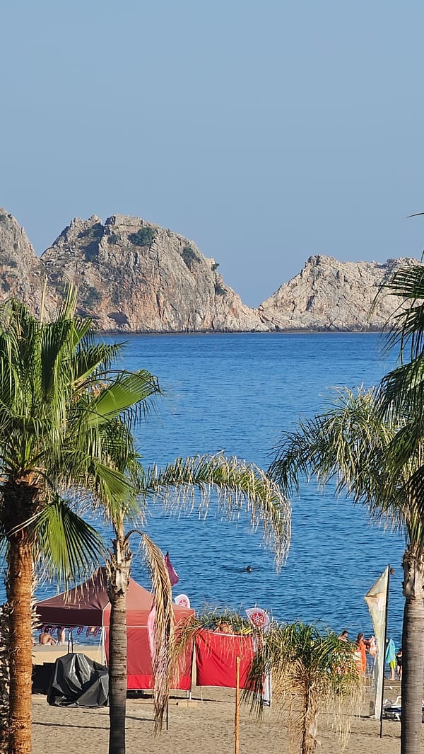 Alanya's castle coast and palm-lined streets on a sunny afternoon