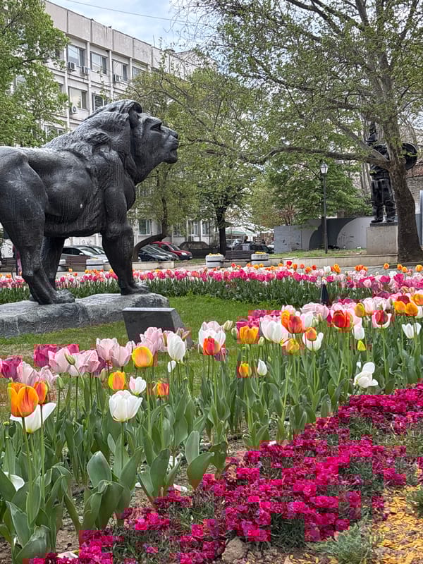 Public park scene with statue documented in Pazardzhik, Bulgaria
