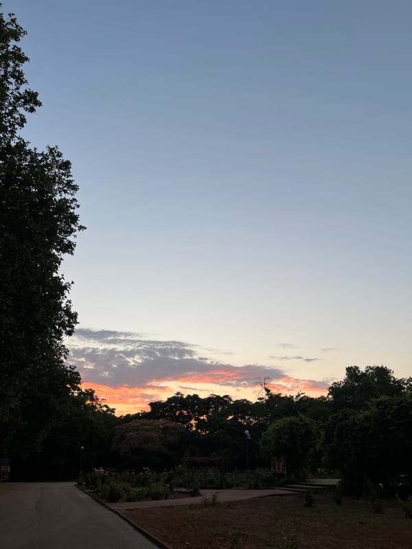 Sunset skies and a rooftop rooster in Pazardzhik