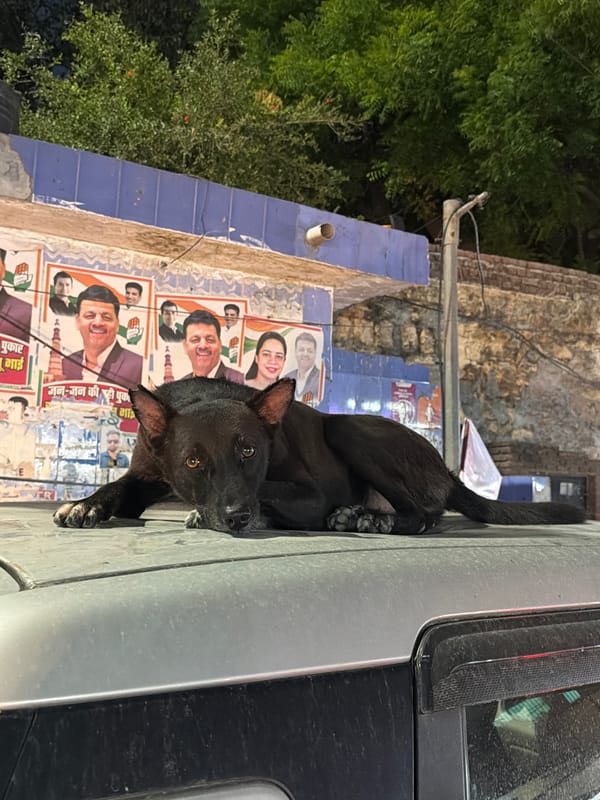Delhi street vendors and night markets documented across city