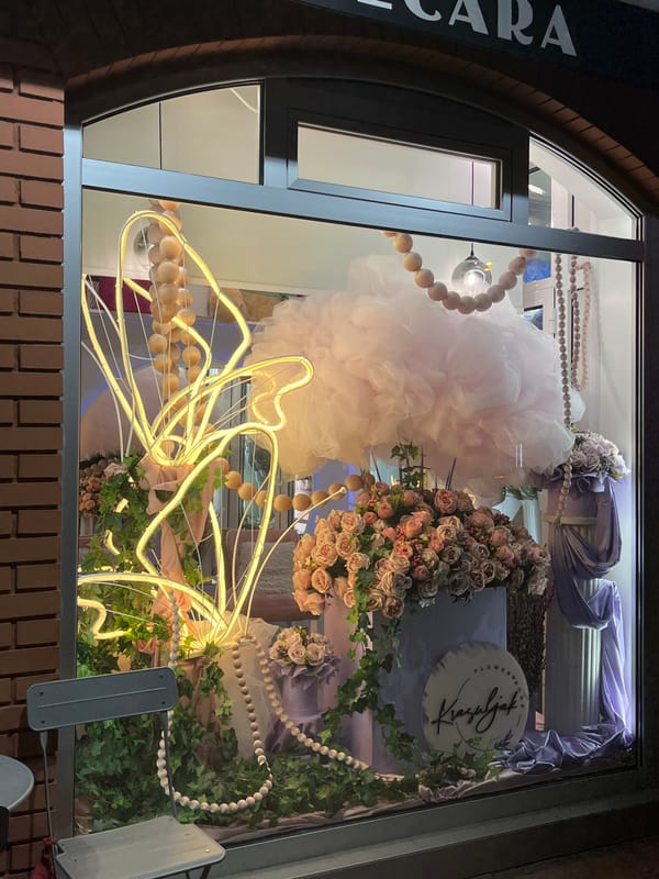 Tulle dress displayed in Novi Sad storefront window