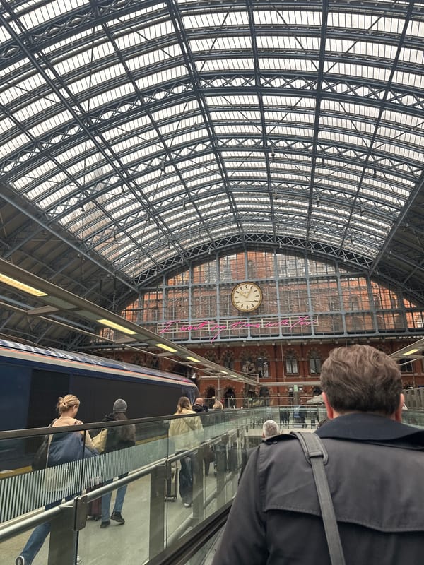 St Pancras Station's grand Victorian architecture documented