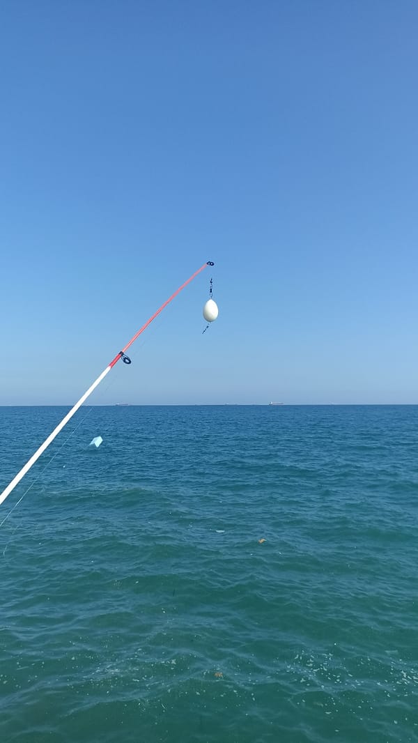 Sunday afternoon coastal leisure activities documented across Mediterranean waterfront
