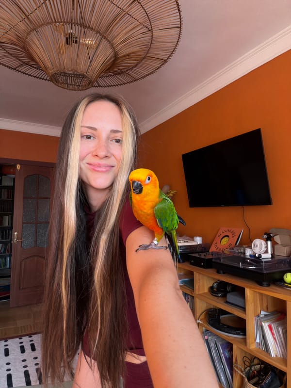 Selfie moment with a vivid sun conure in Khimki
