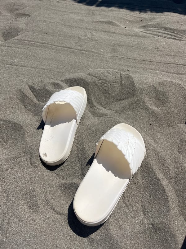Tourist documentation captures campground, beach life in Montenegro coastal town