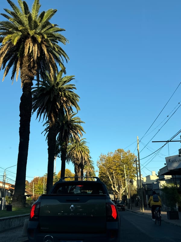 Street scenes captured in Tigre, Argentina showing palms, vintage cars