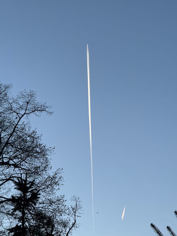 Spring afternoon scenes captured across Sofia parks and skies