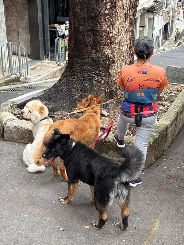 Morning dog walker and pedestrian spotted on Hong Kong streets