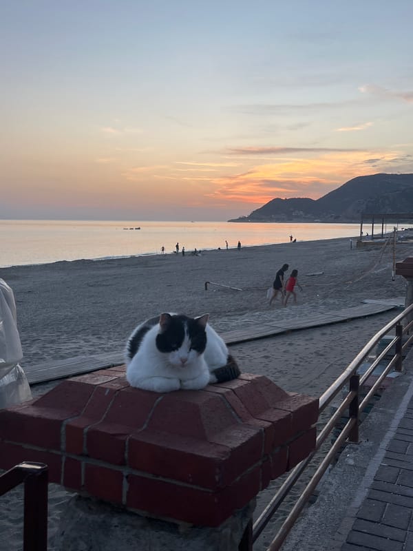 Alanya beach scenes captured during sunset hour