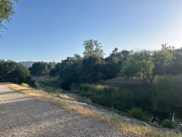 Early morning nature walk documented in Oak Park, California