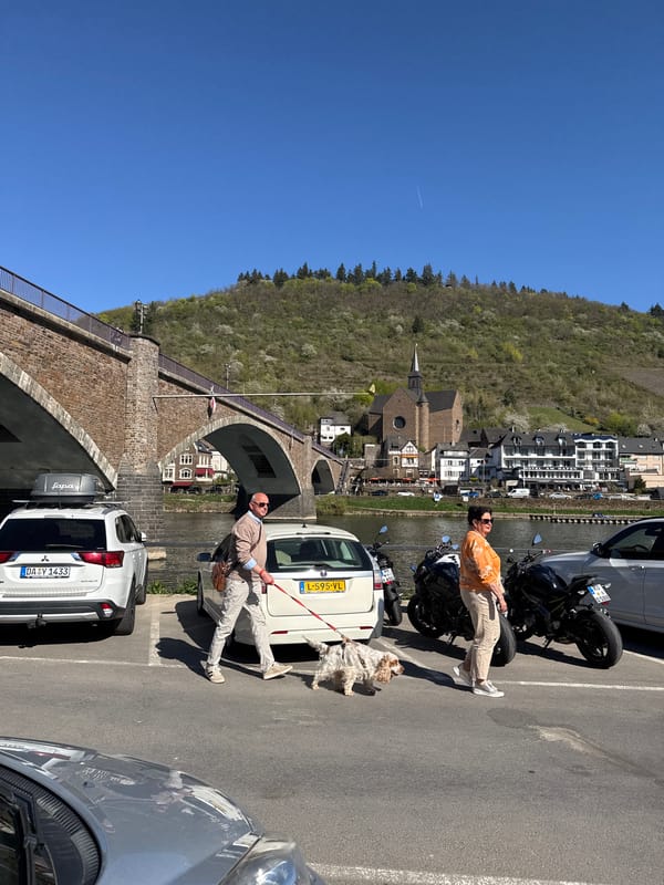 Sunny afternoon scenes captured around Cochem Castle, Germany