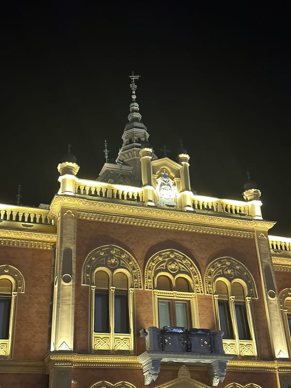 Woman documents nighttime selfie walk through illuminated Novi Sad