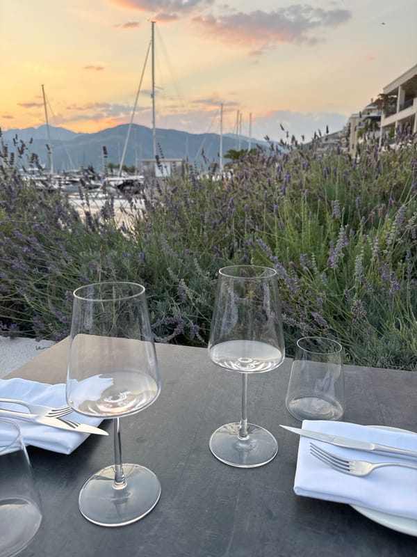 Sunset evening at a marina with lavender and yachts