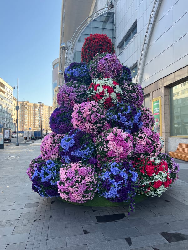 Floral installation meets construction chaos on a Moscow sidewalk