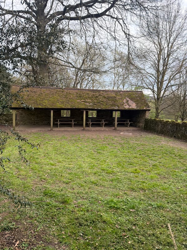 Park scenes captured in Maidstone show shelter and wildlife