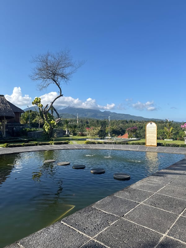 Tourist explores Karangasem water palace gardens with resident cat
