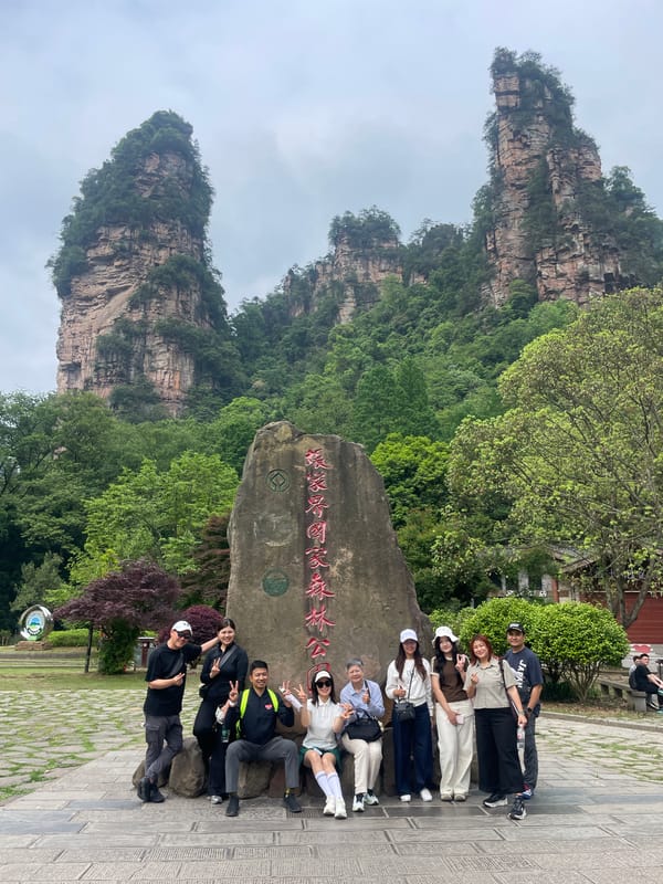 Tourist group visits Zhangjiajie park, monkeys spotted nearby
