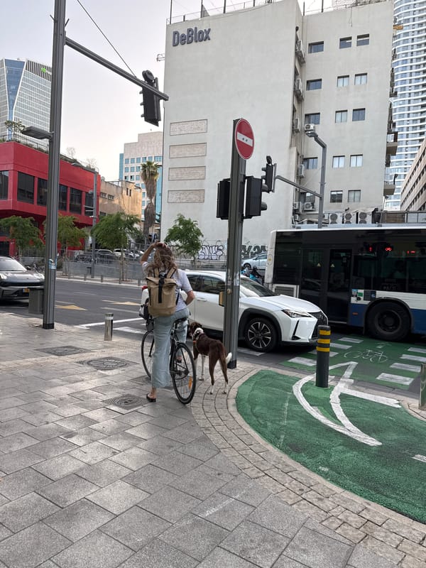 Person with bicycle and dog spotted on Tel Aviv sidewalk